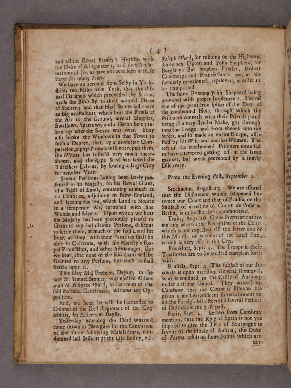296 Page 4